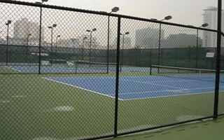 无码人妻丰满熟妇啪啪