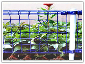 无码人妻丰满熟妇啪啪