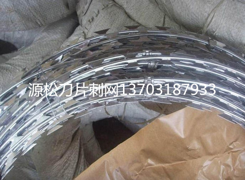 无码人妻丰满熟妇啪啪