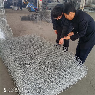 矿用高强度六角钢丝网